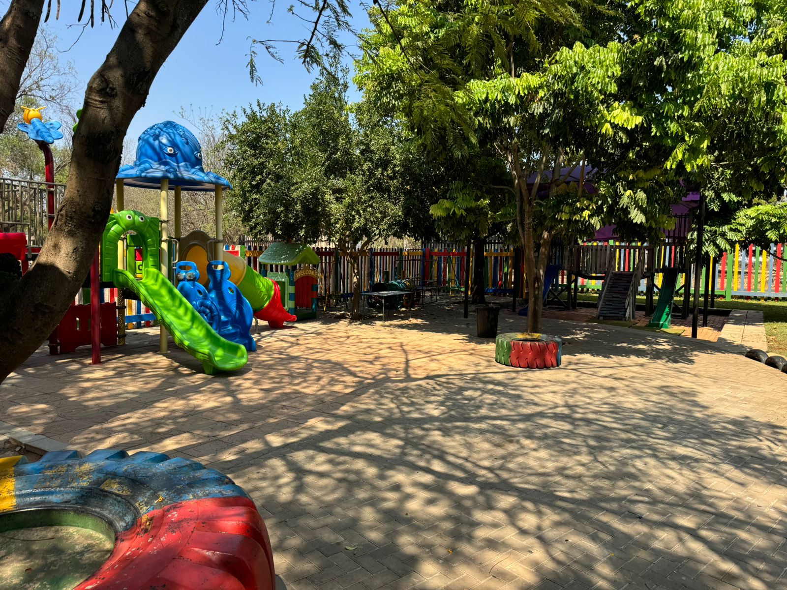 WhatsApp Image 2024-10-14 at 09.56.26